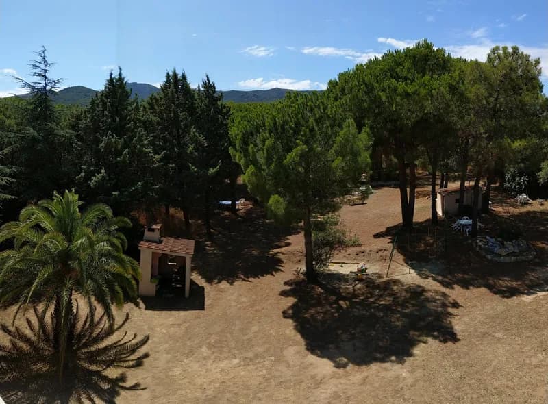 Allocigale_C5_vue.jpg
