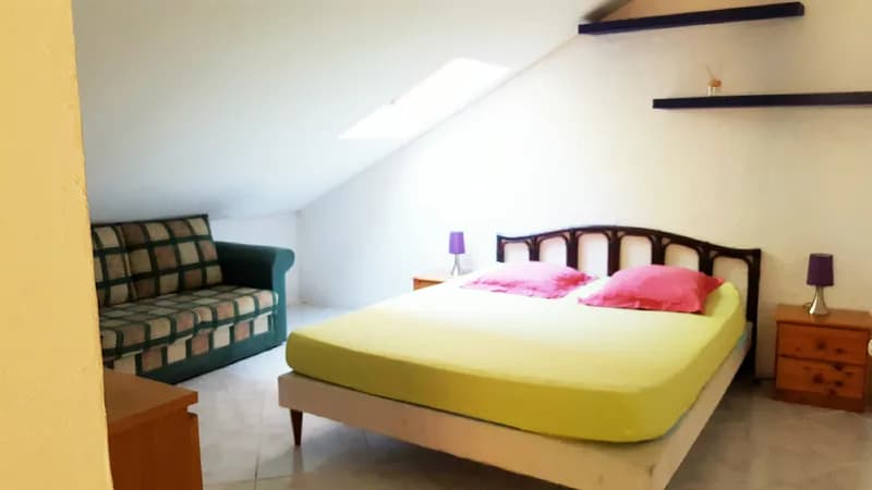 Allocigale_Palmier_chambre1.jpg