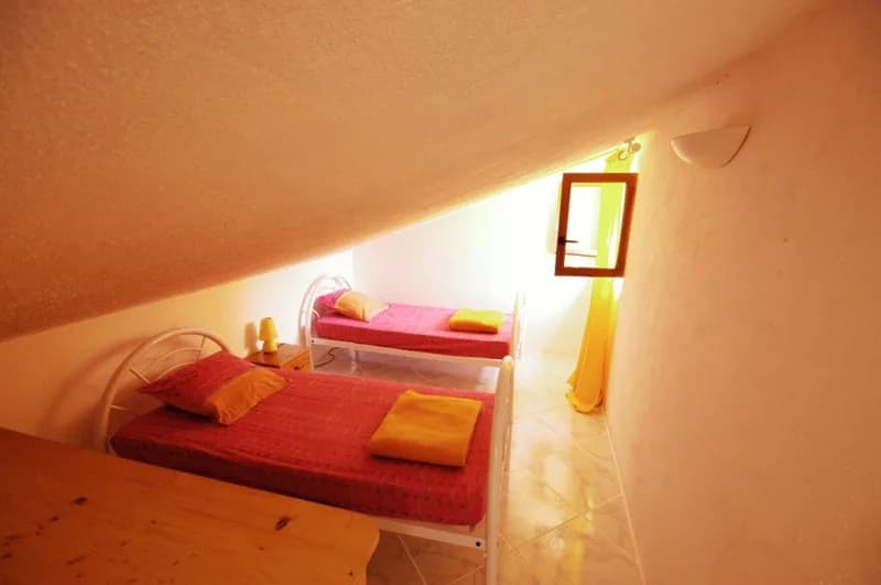 Allocigale_Palmier_chambre2.jpg